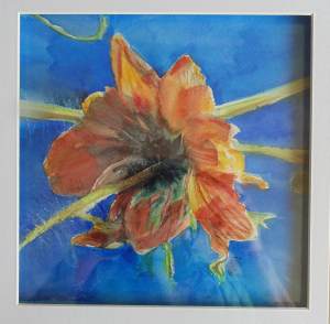 The View from the Underside