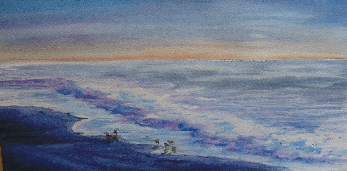 SundownAtSanibell_taylor_02192017