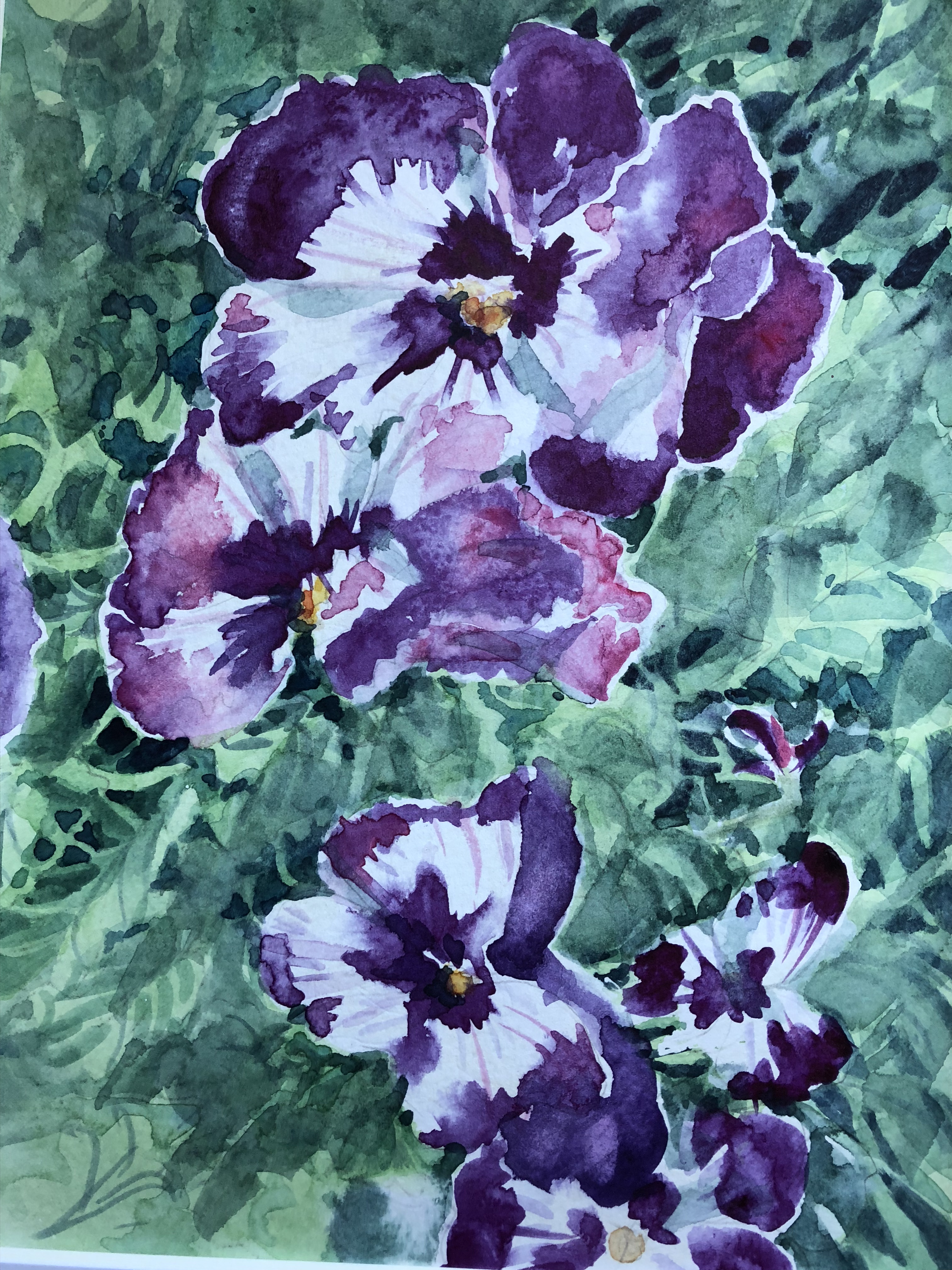 Spring Pansies