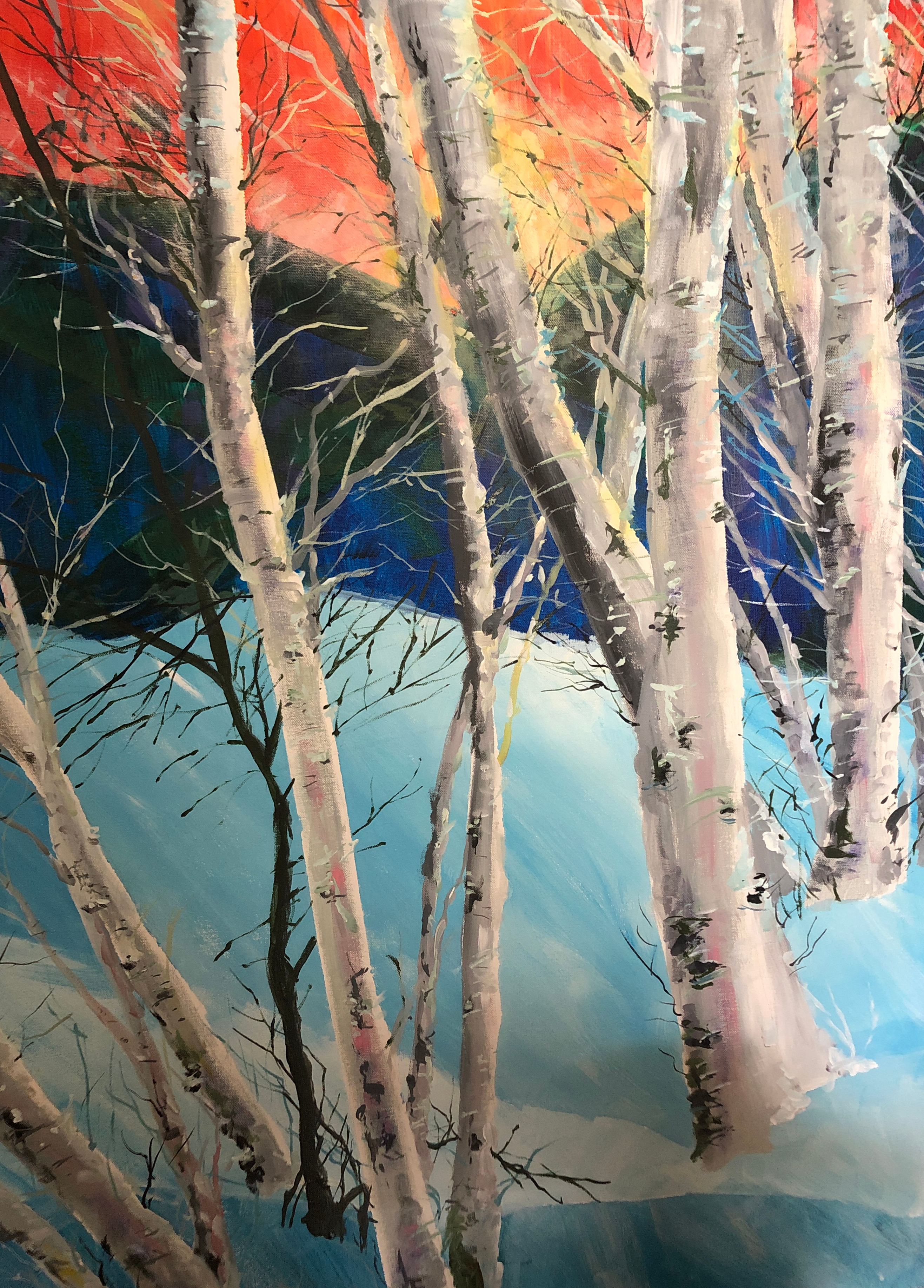 Birch trees in snow